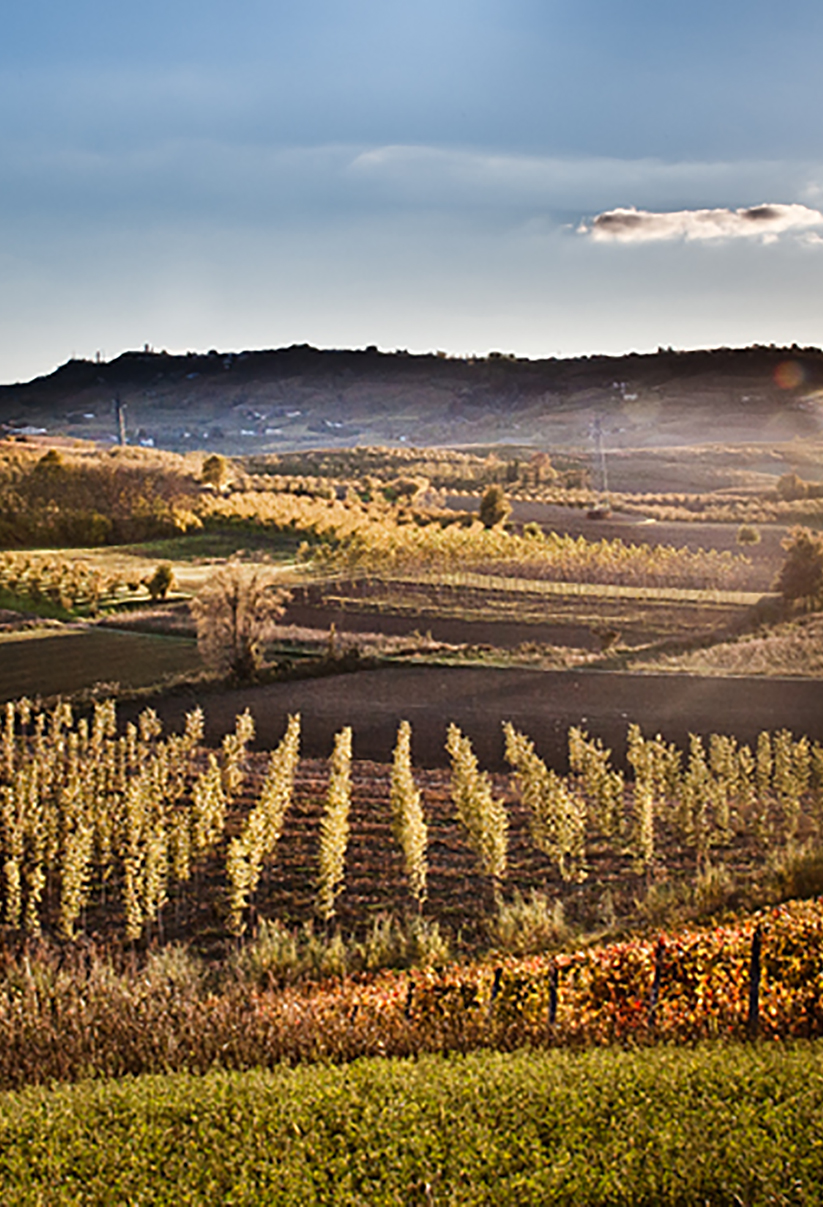 langhe-01