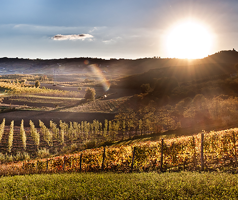 langhe-03